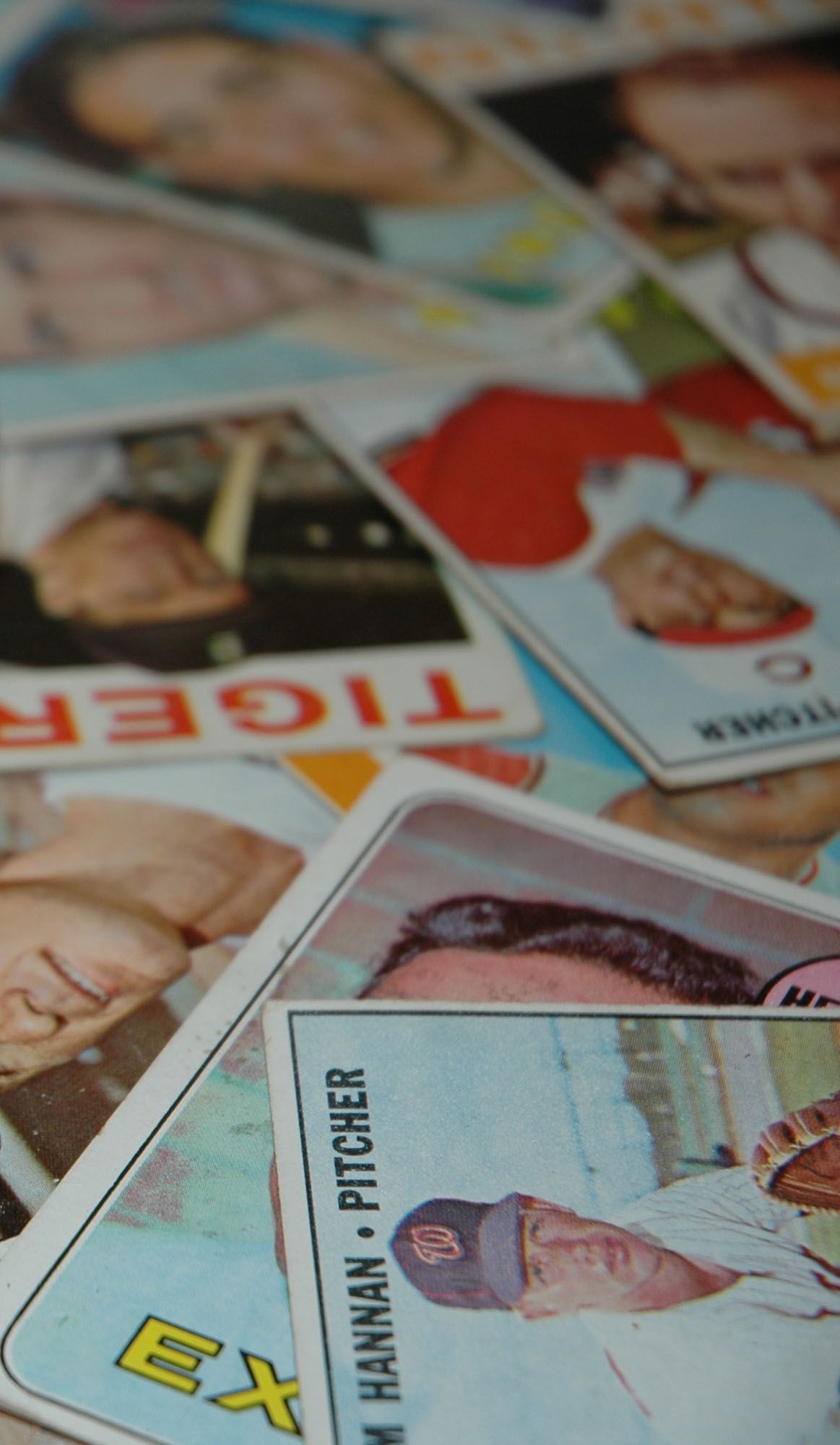 Scattered passport-style ID cards with portrait photos on a tabletop