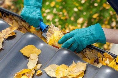 gutter cleaning services houston tx