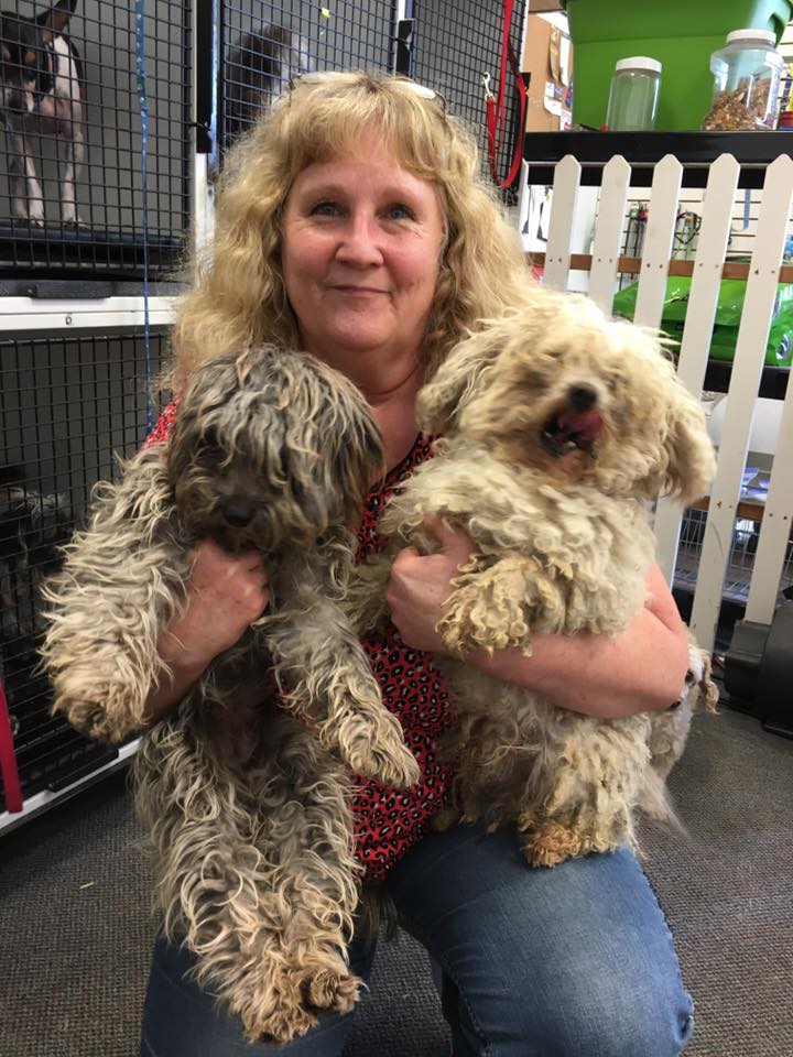 All Animal Grooming Gallery Redding, CA