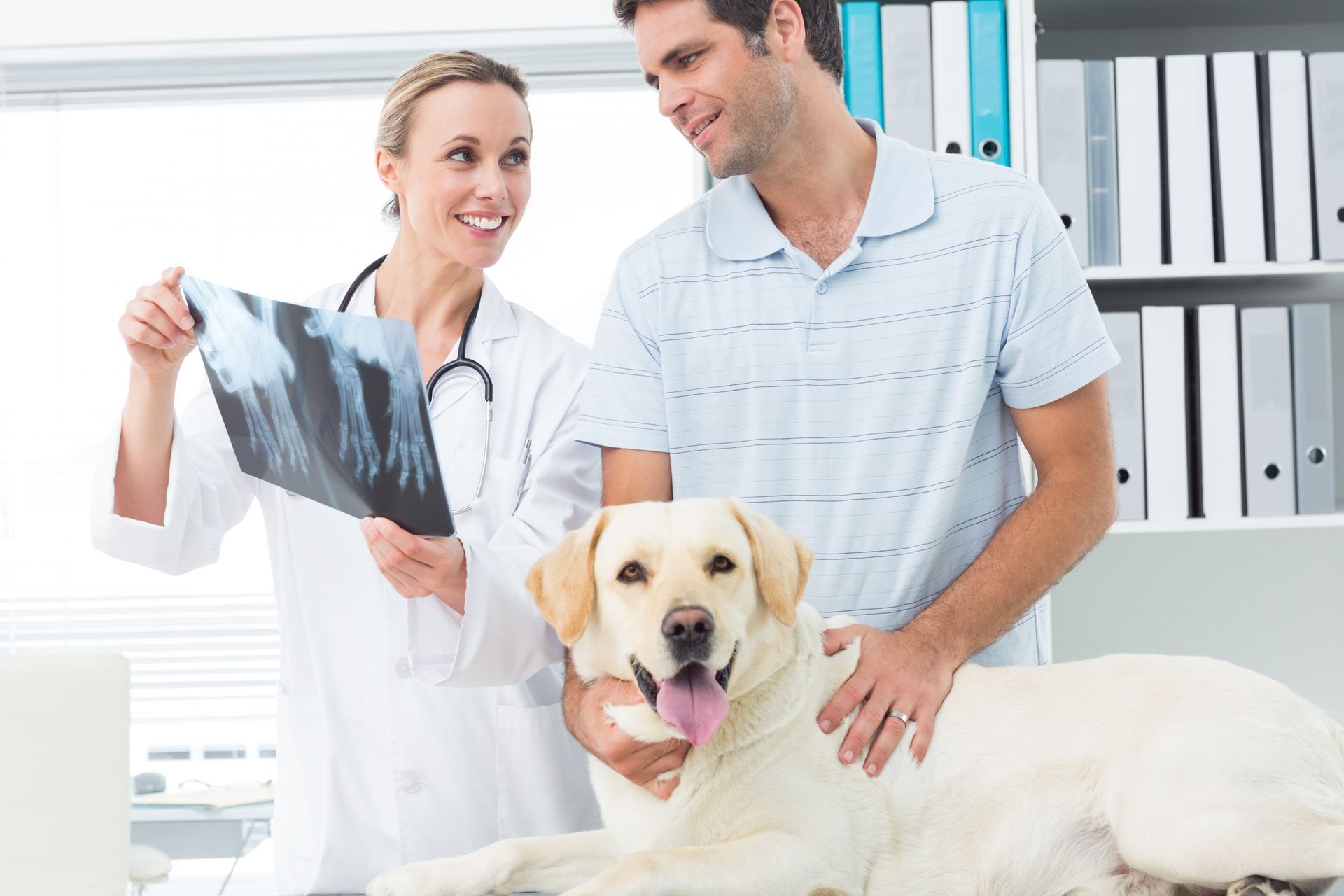 local veterinarians
