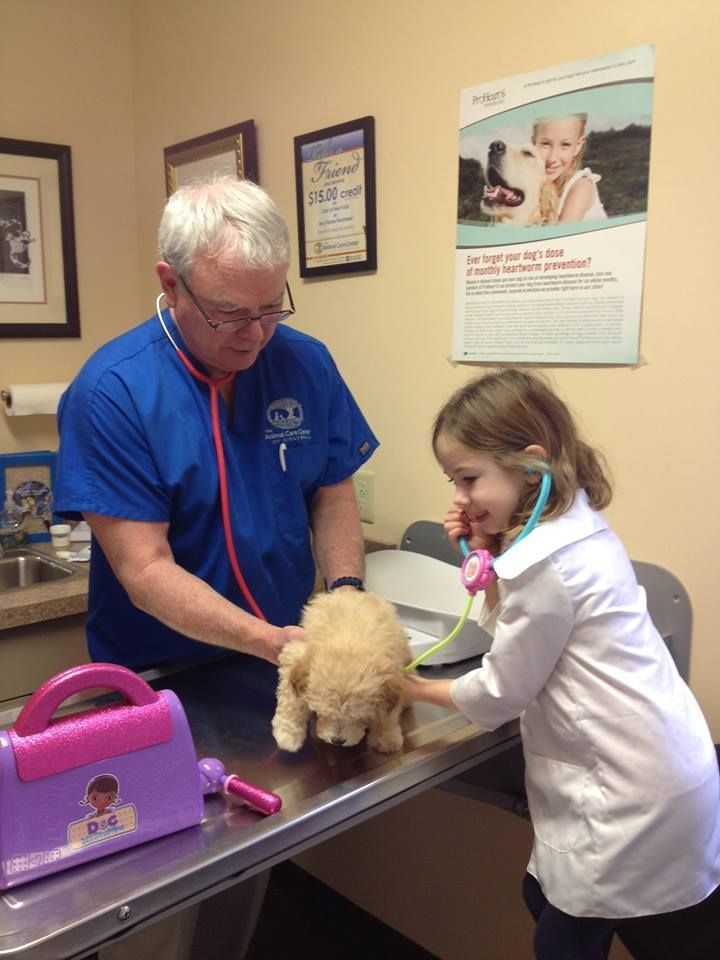 A child in a doctor's coat plays with a toy stethoscope on a stuffed dog with a vet.