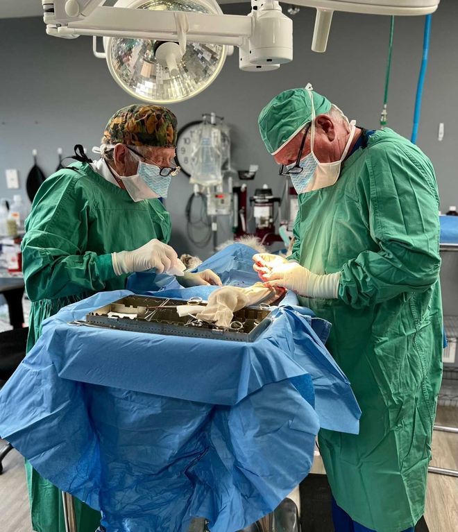 The Animal Care Center Of Ooltewah