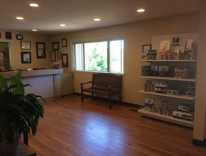 Veterinary clinic interior: reception desk, waiting area with bench, shelves of pet food.