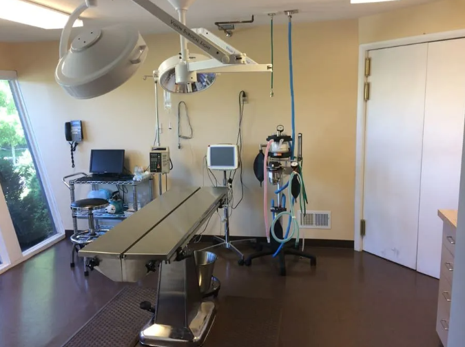 Veterinary operating room with surgical table, equipment, and medical devices.