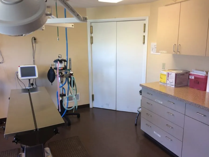 Veterinary operating room with a surgical table, medical equipment, cabinets, and a closed door.