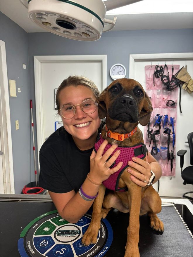 Woman and dog smiling, dog wearing a pink harness. Indoors with grooming tools in the background.
