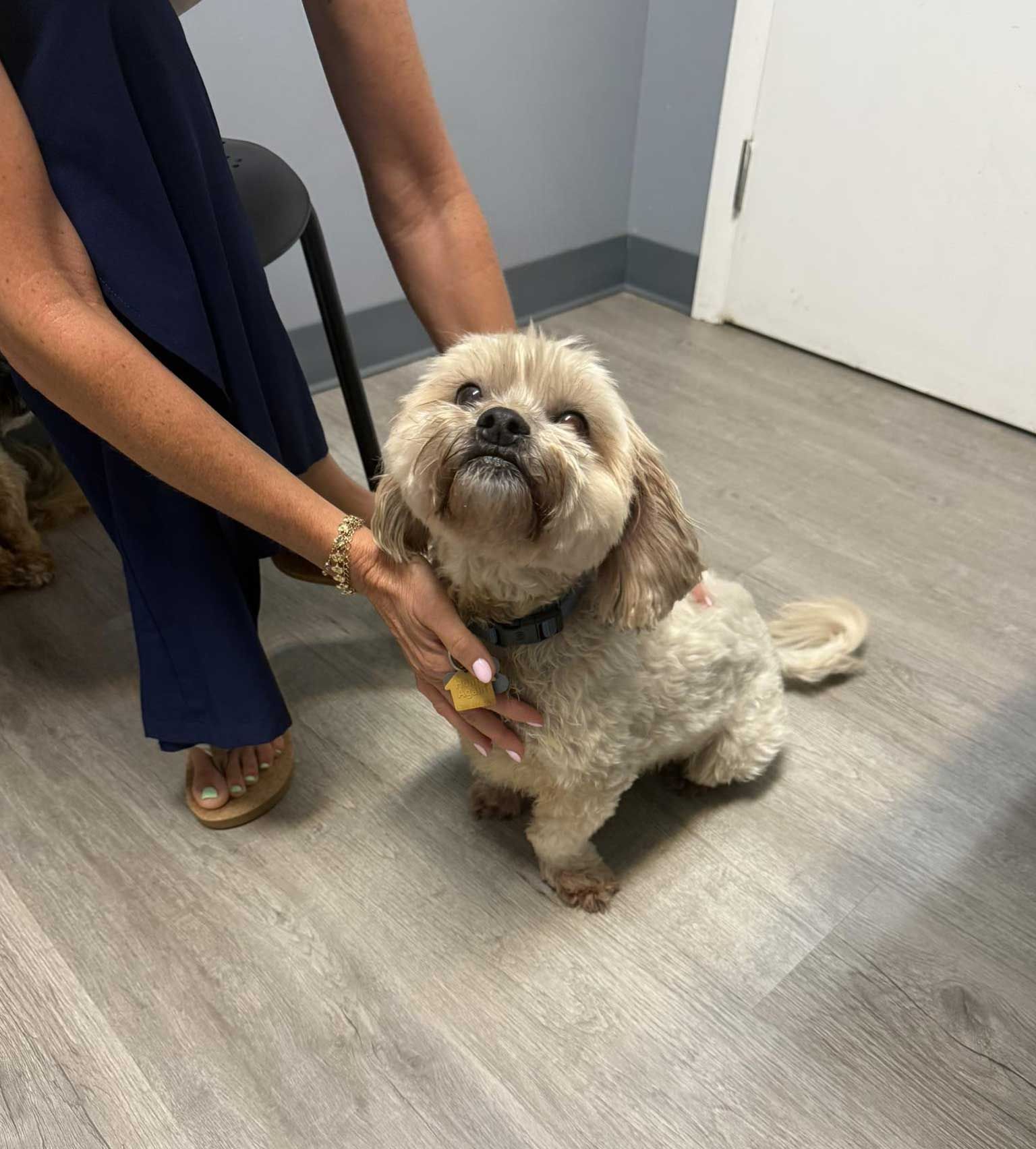 The Animal Care Center Of Ooltewah