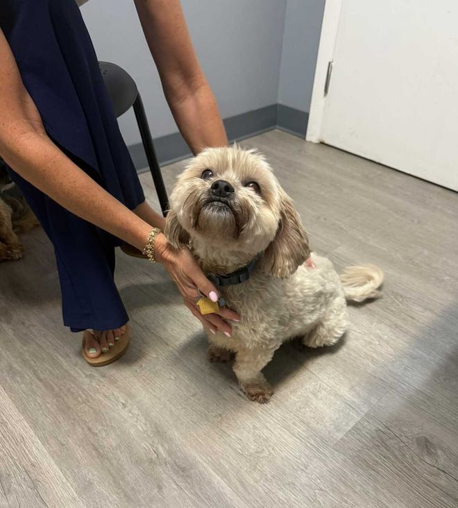 The Animal Care Center Of Ooltewah