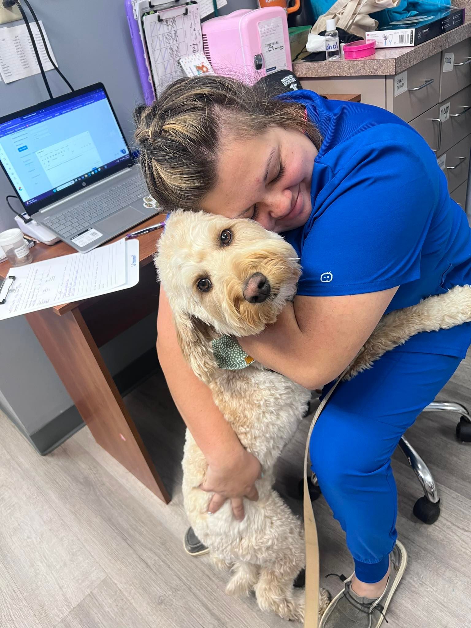 Woman in blue scrubs hugging a fluffy golden doodle dog in an office setting.