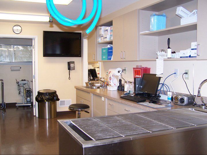 Veterinary clinic examination room with examination table, countertops, and medical equipment.