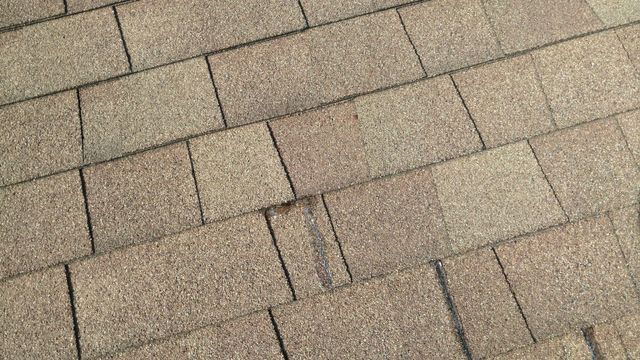 Damaged shingle roof