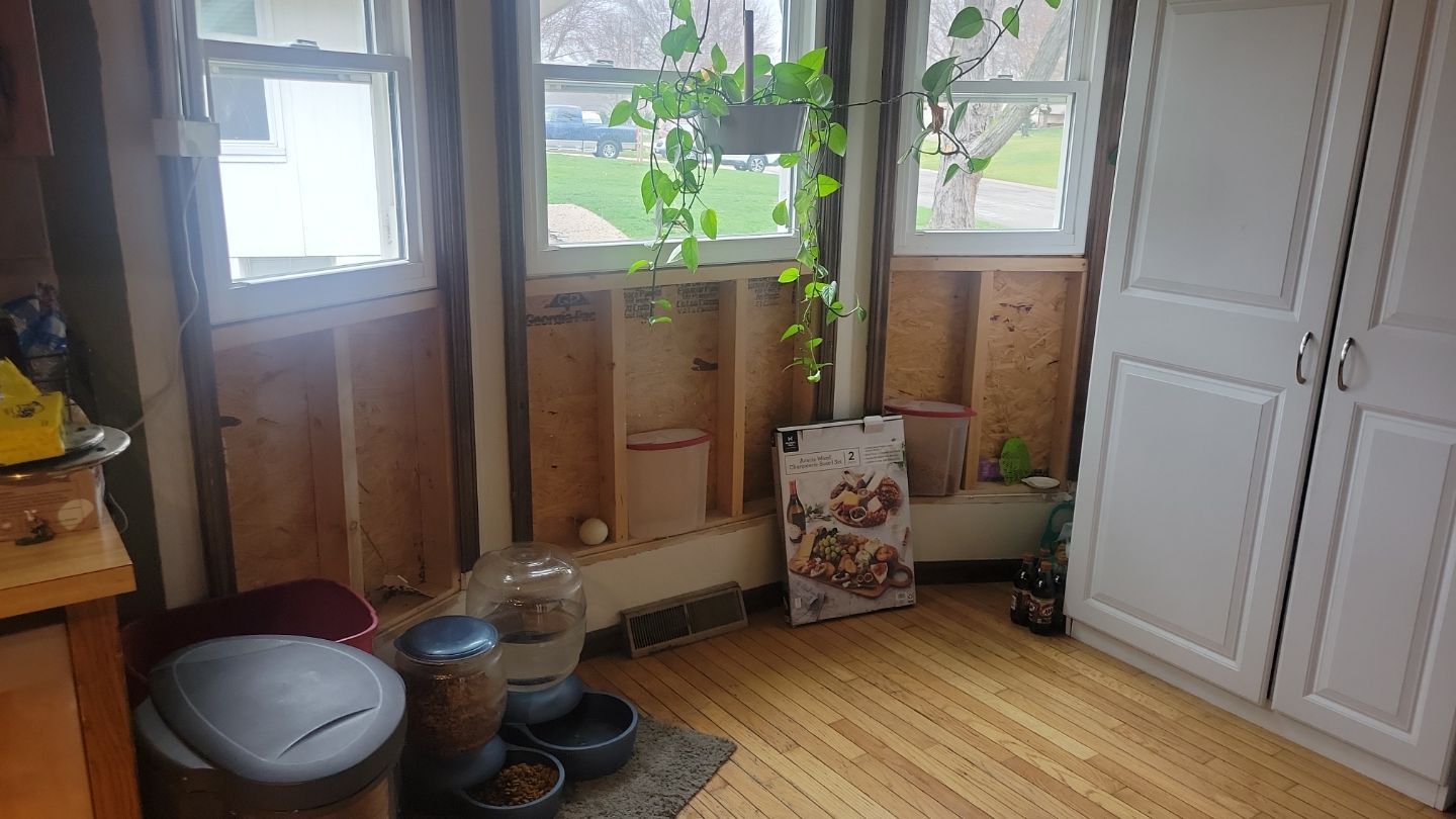 Room with exposed wall studs, windows, white cabinets, and a hanging plant.
