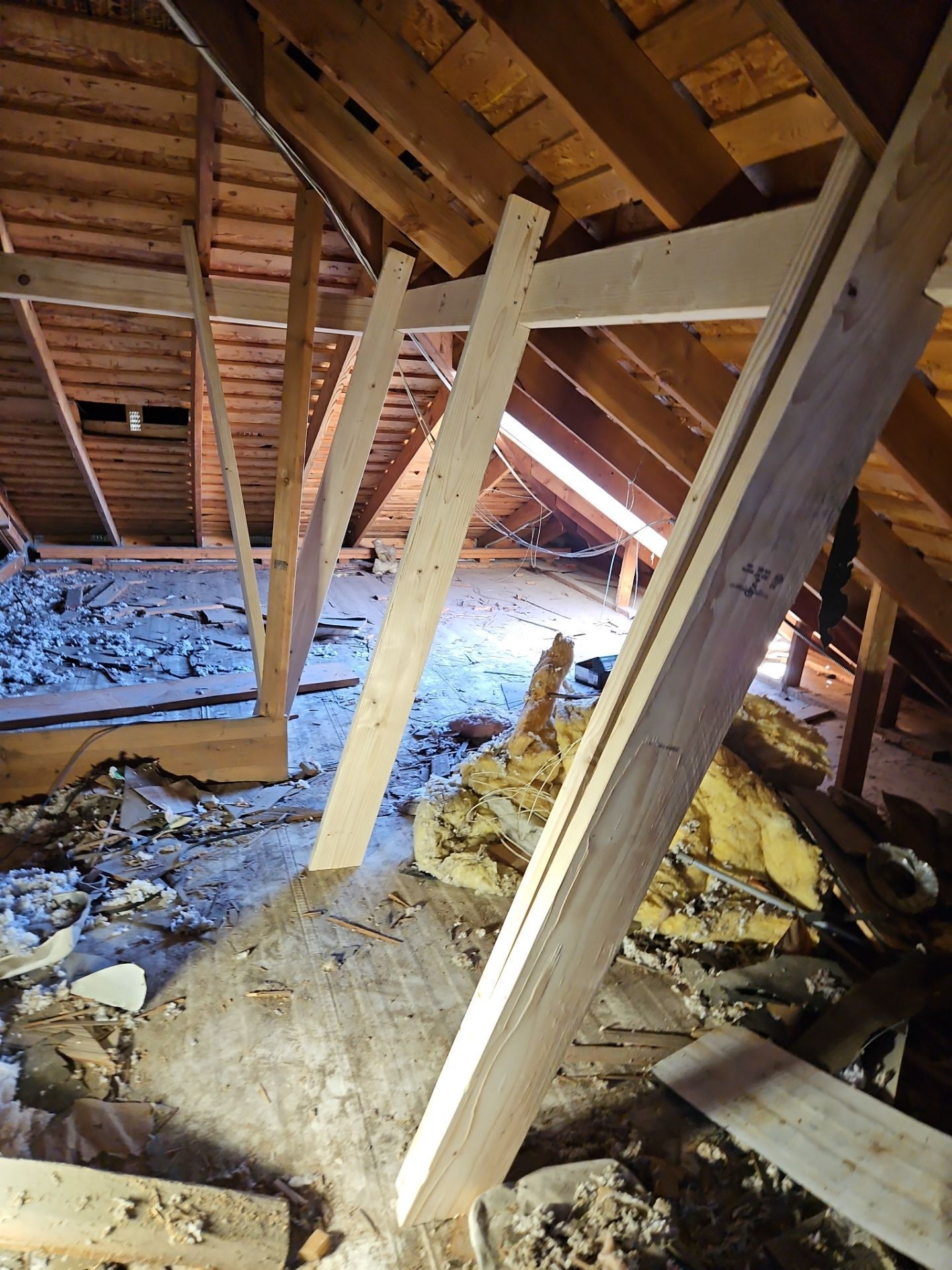 Attic interior with wooden beams supporting the roof structure.  Insulation and debris cover the floor.