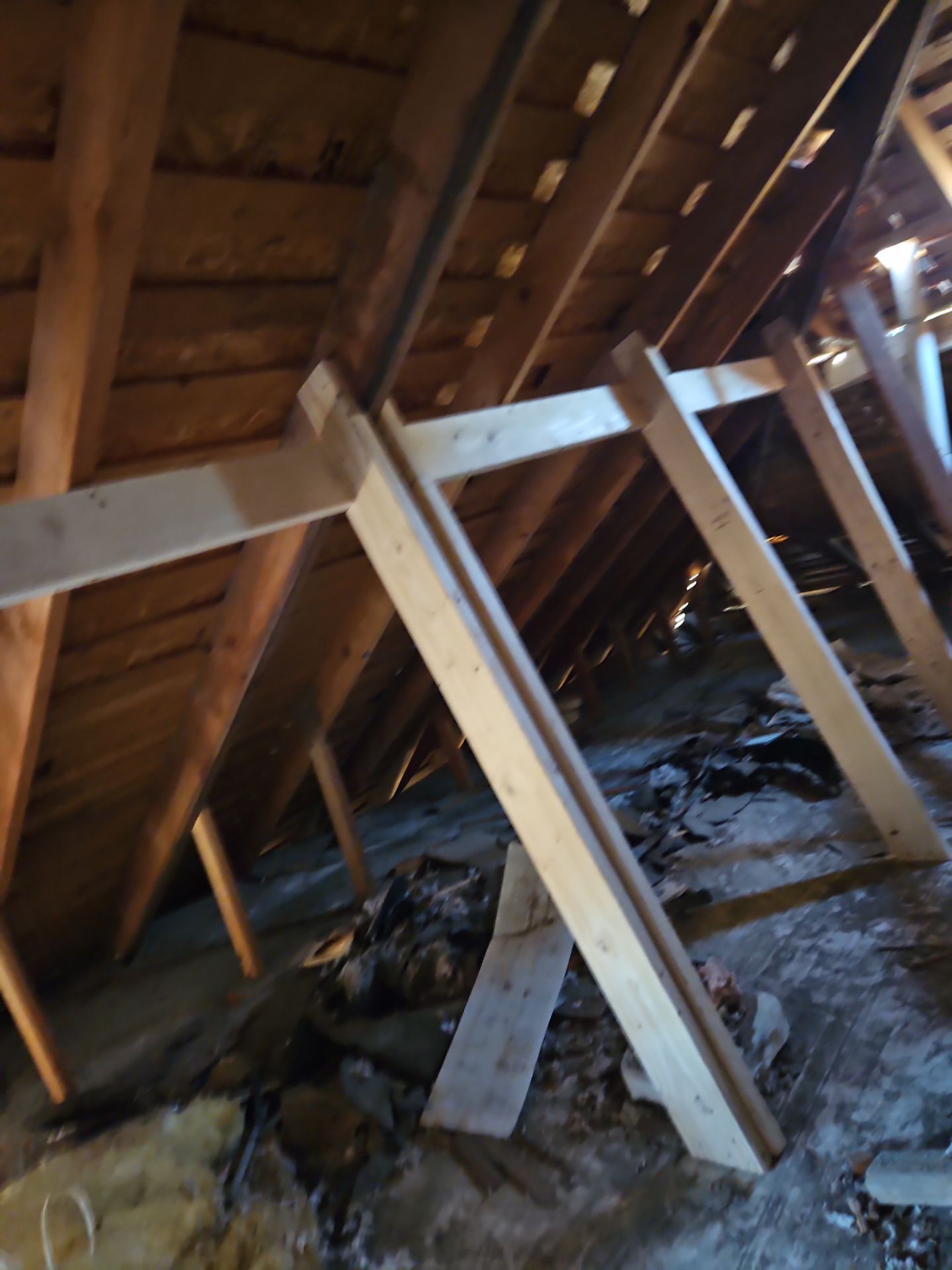 Wooden attic rafters with support beams. Dark, enclosed space.