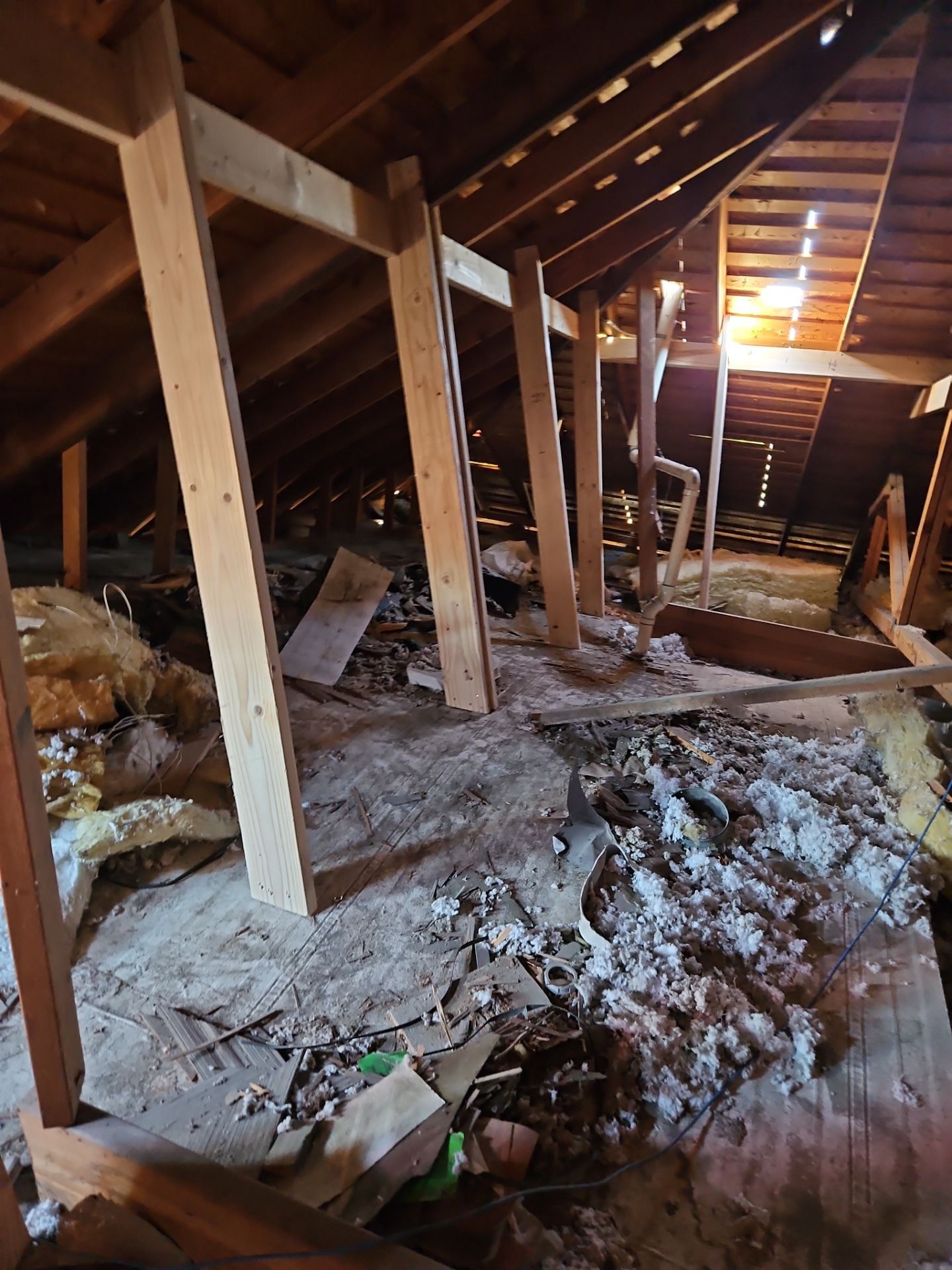 Attic interior with exposed rafters and insulation. Wooden support beams and scattered debris are visible.