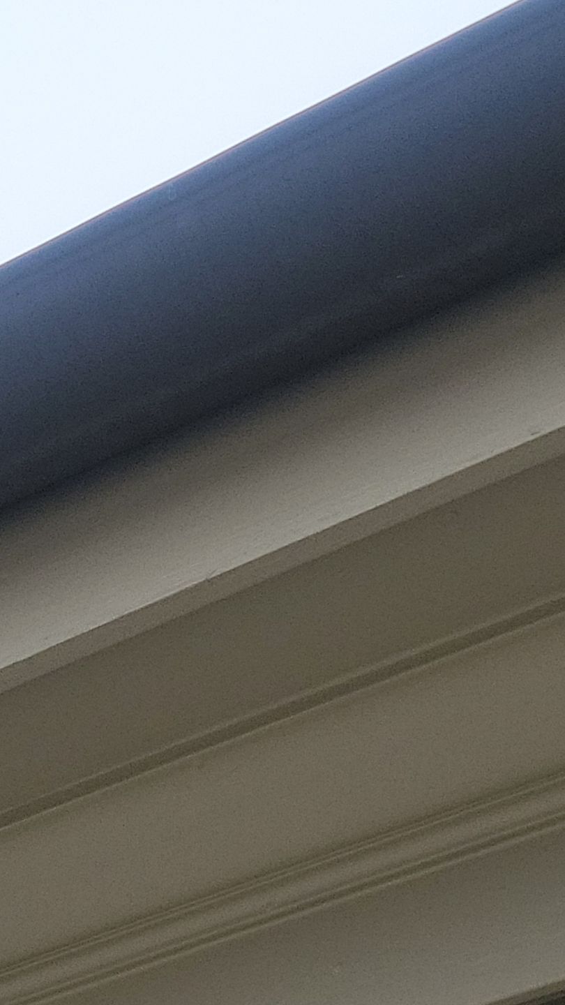 Dark gutter above white trim on a building exterior.
