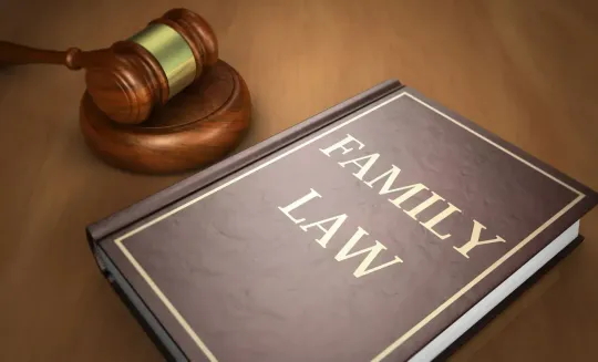 Family law book beside a wooden gavel on a desk, symbolizing legal justice.
