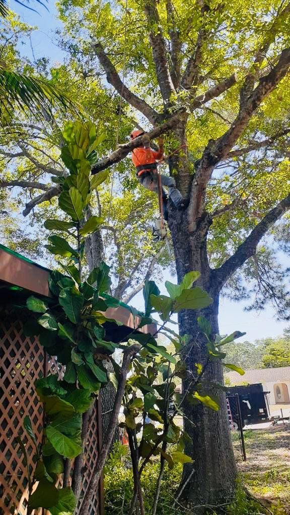 Tree service