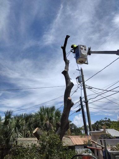 man on truck working on high tree