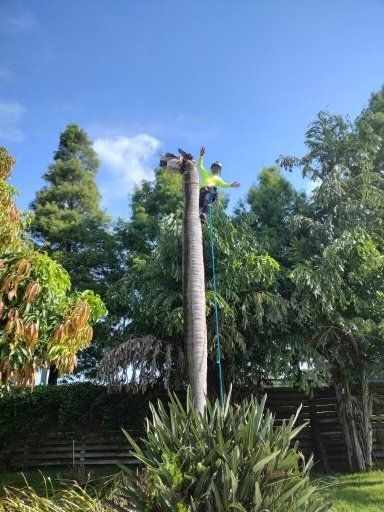 man wearing yellow shirt working on high tree