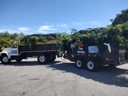truck loaded with tree branches