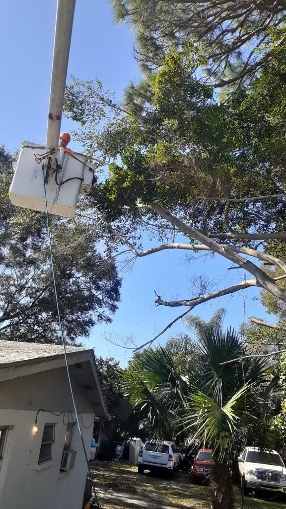 Tree Service