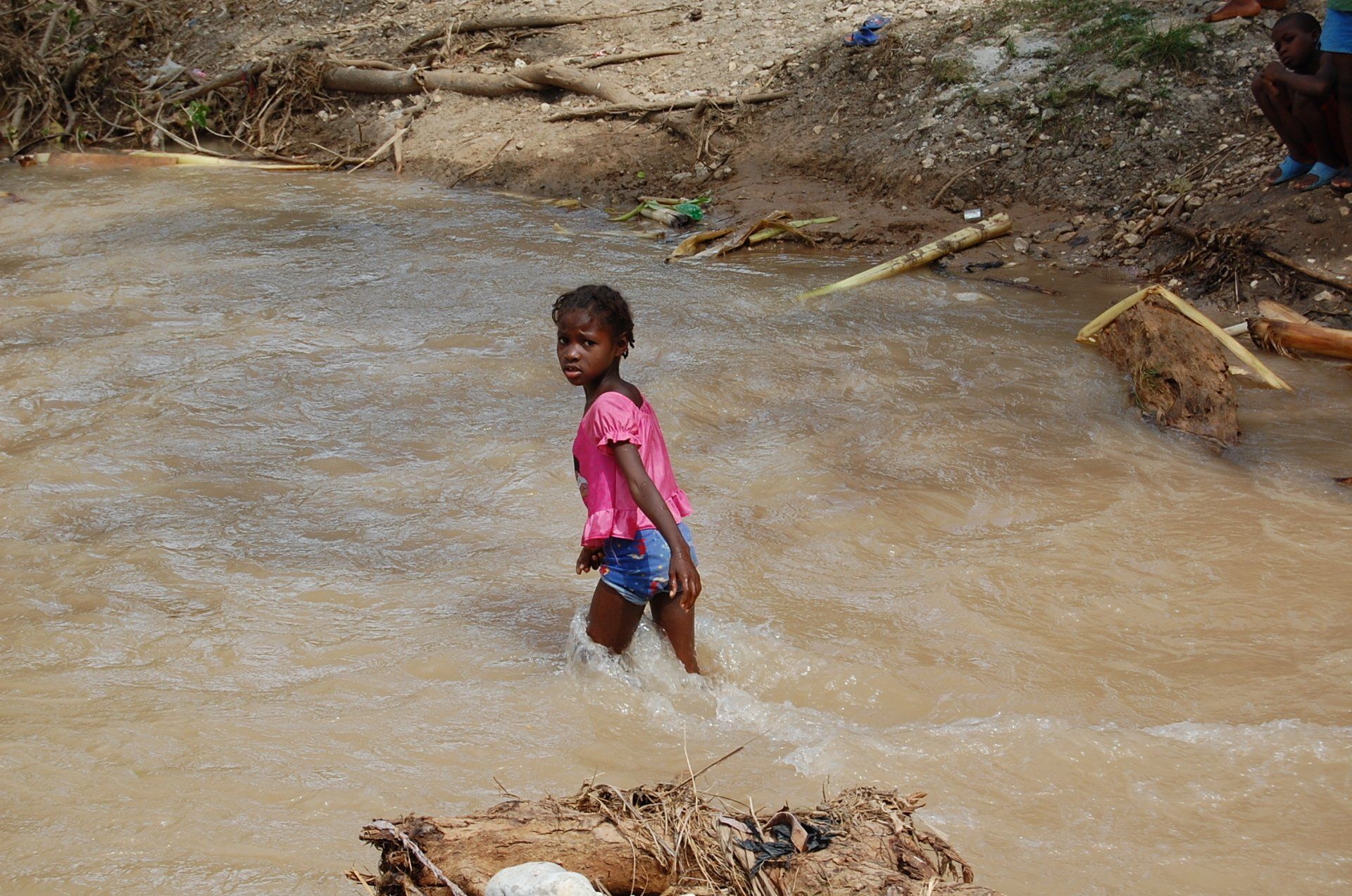 Water Purification Systems