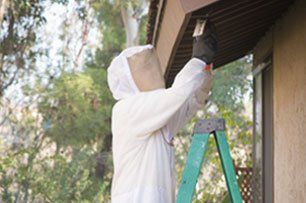 Pest Control