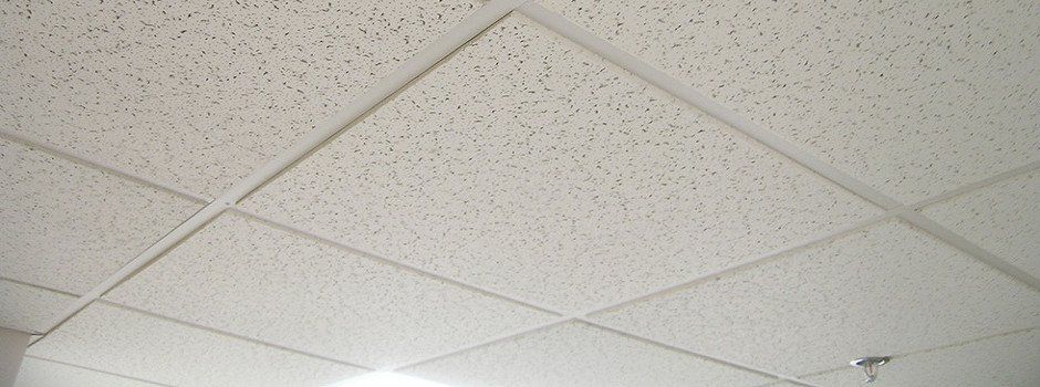 Acoustic grid ceiling