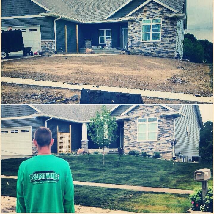 Before and after lawn care