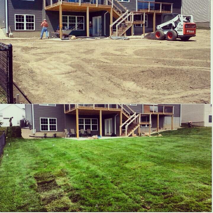 Before and after lawn care