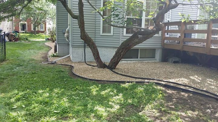 Beautiful  Landscape