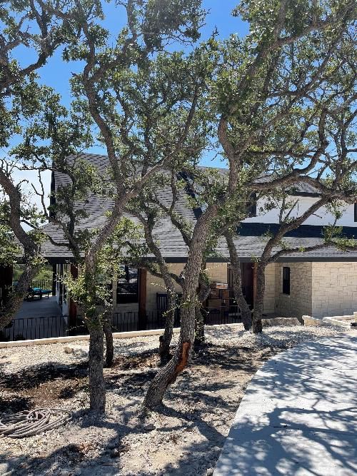 A house under construction with trees in front of it