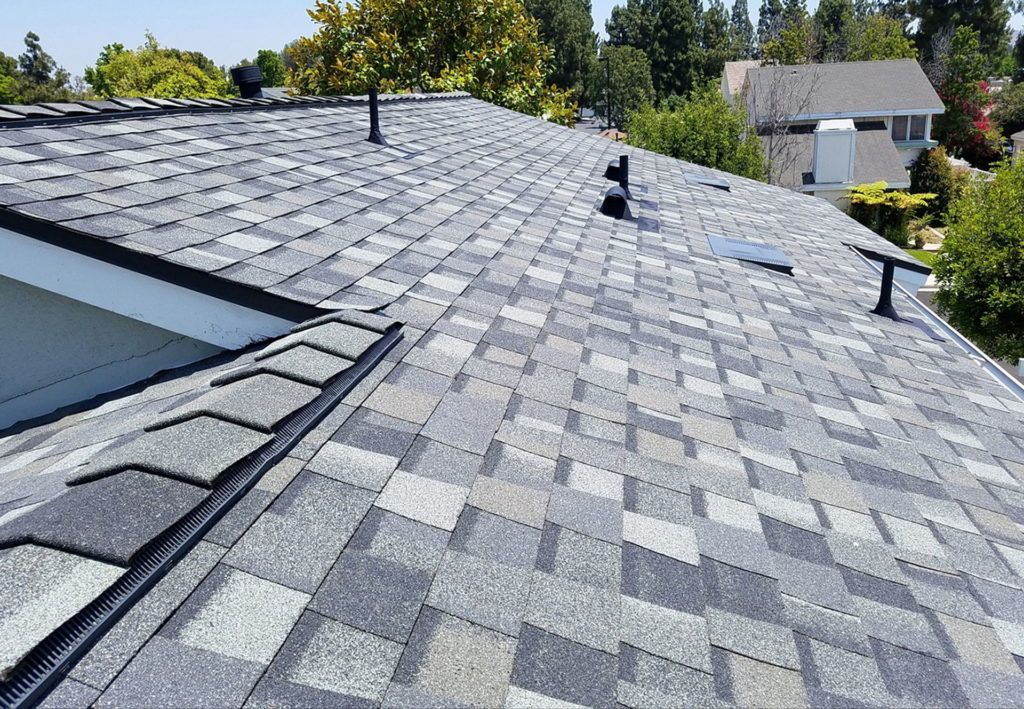 A view of a grey shingled roof with vent pipes and a skylight under a bright sky with nearby trees.