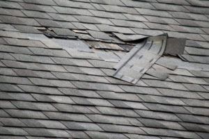 A section of a gray shingled roof with several shingles torn, curled, or missing, exposing the underlying roof deck.