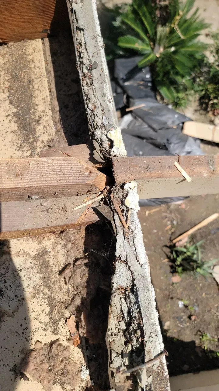 Rotting wood and debris close-up. Light brown and grey tones. Outdoors, likely damaged structure or fixture.
