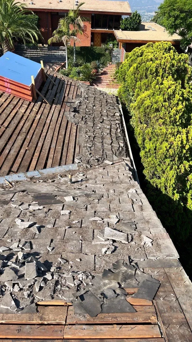 Damaged rooftop with missing shingles, next to green bushes and other buildings.