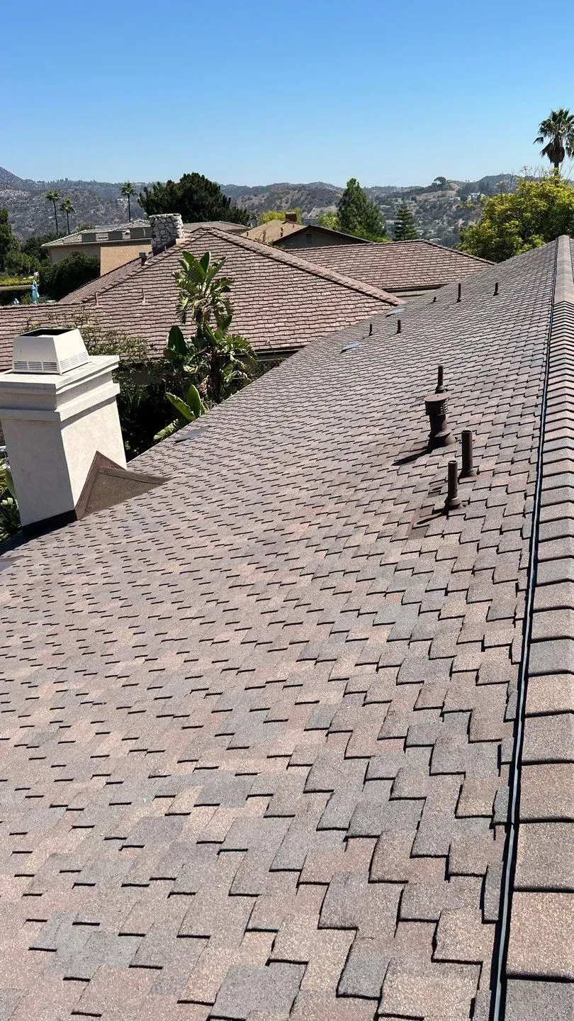 Brown asphalt shingle roof with vents, overlooking a residential area on a sunny day.