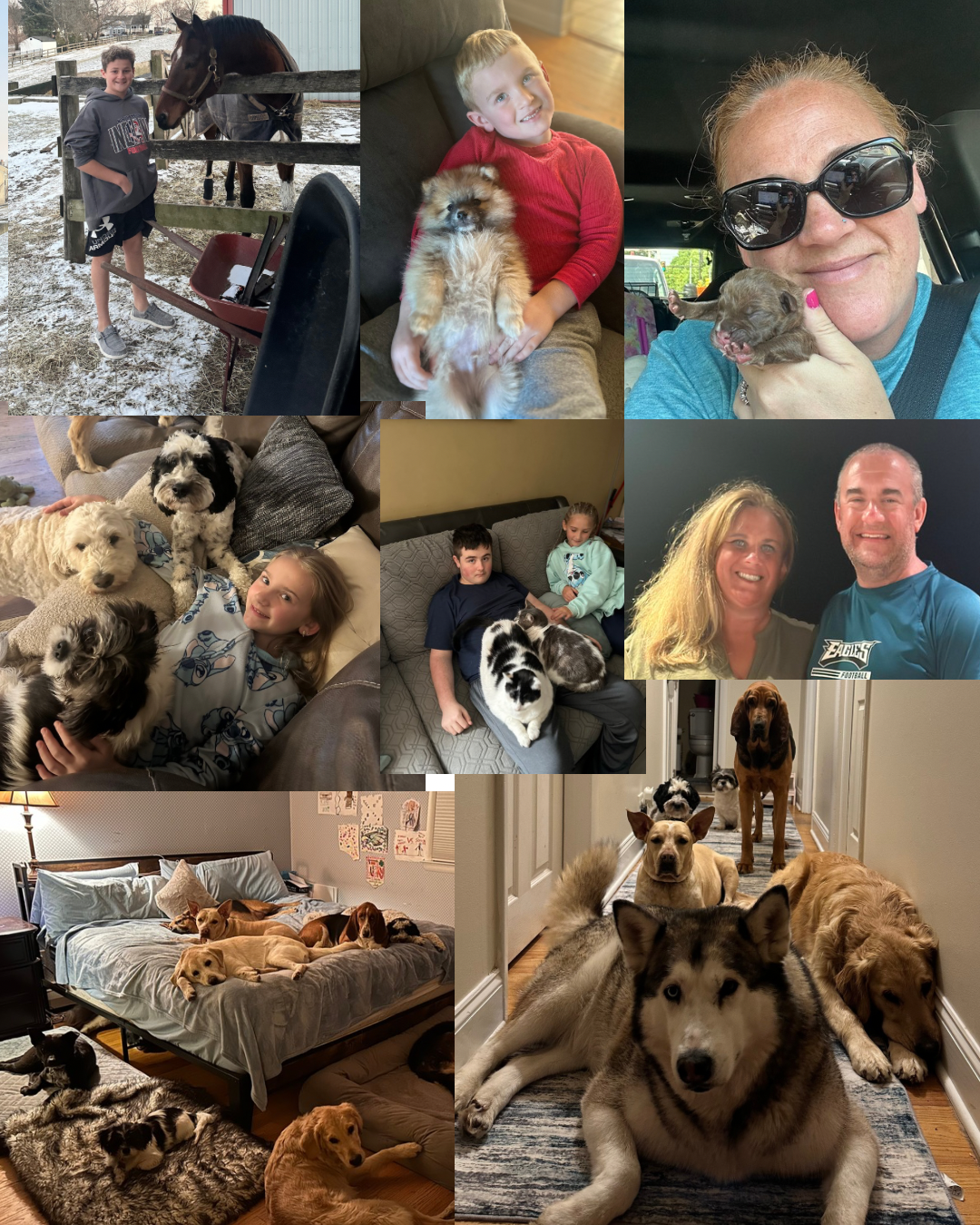 A collage of pictures of people and their dogs.