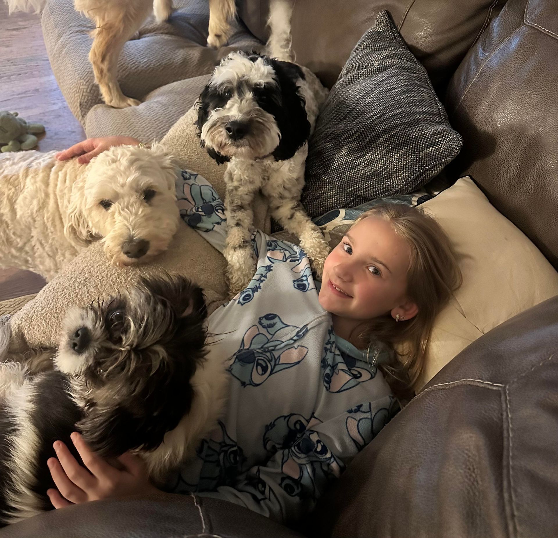 A little girl is laying on a couch with her dogs