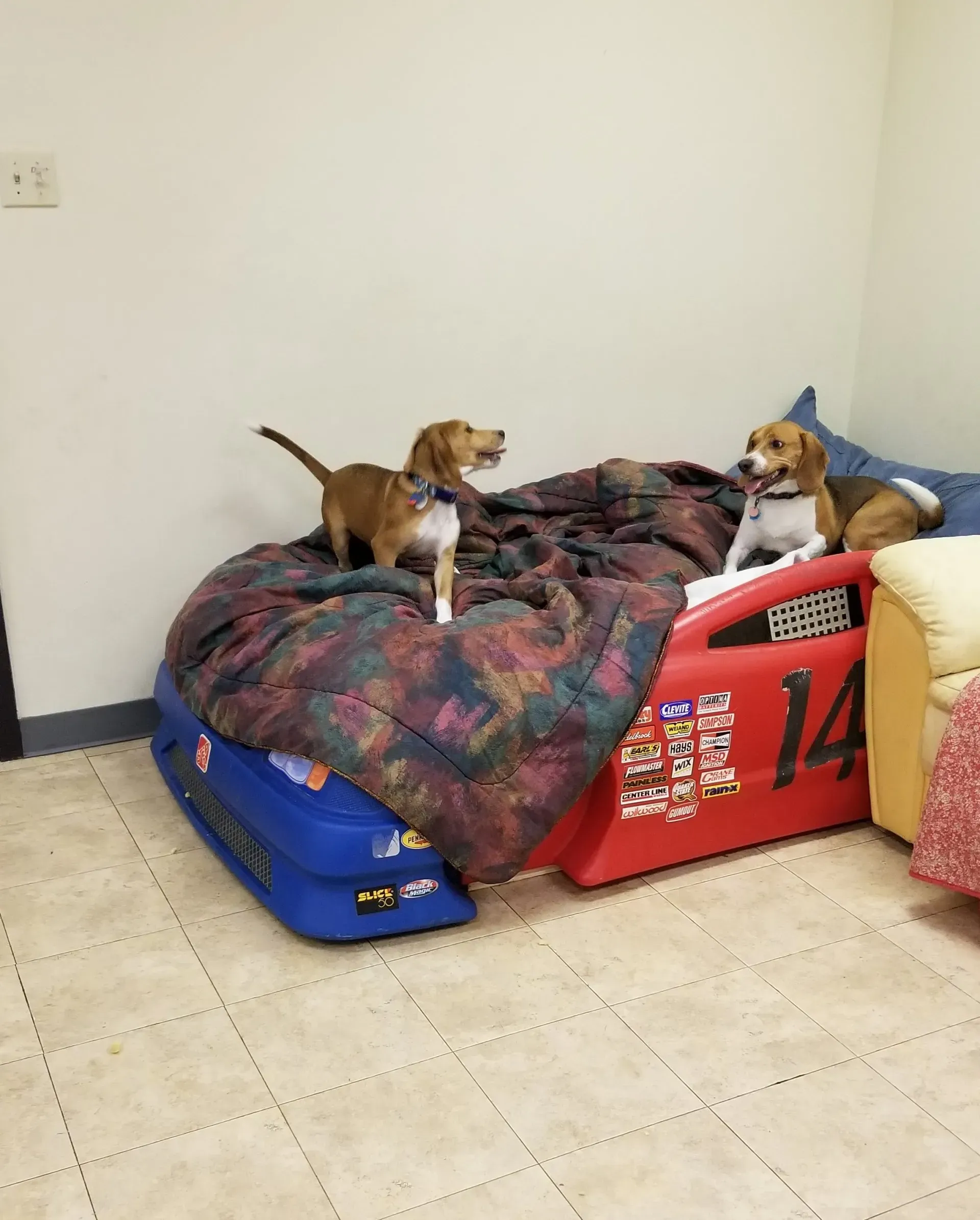 Two dogs are sitting on a bed that looks like a race car
