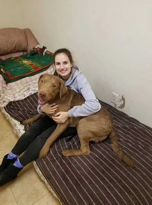 A woman is sitting on a bed holding a brown dog.
