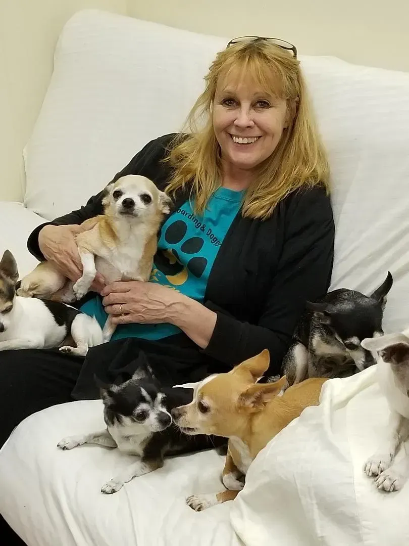 A woman is sitting on a couch surrounded by small dogs