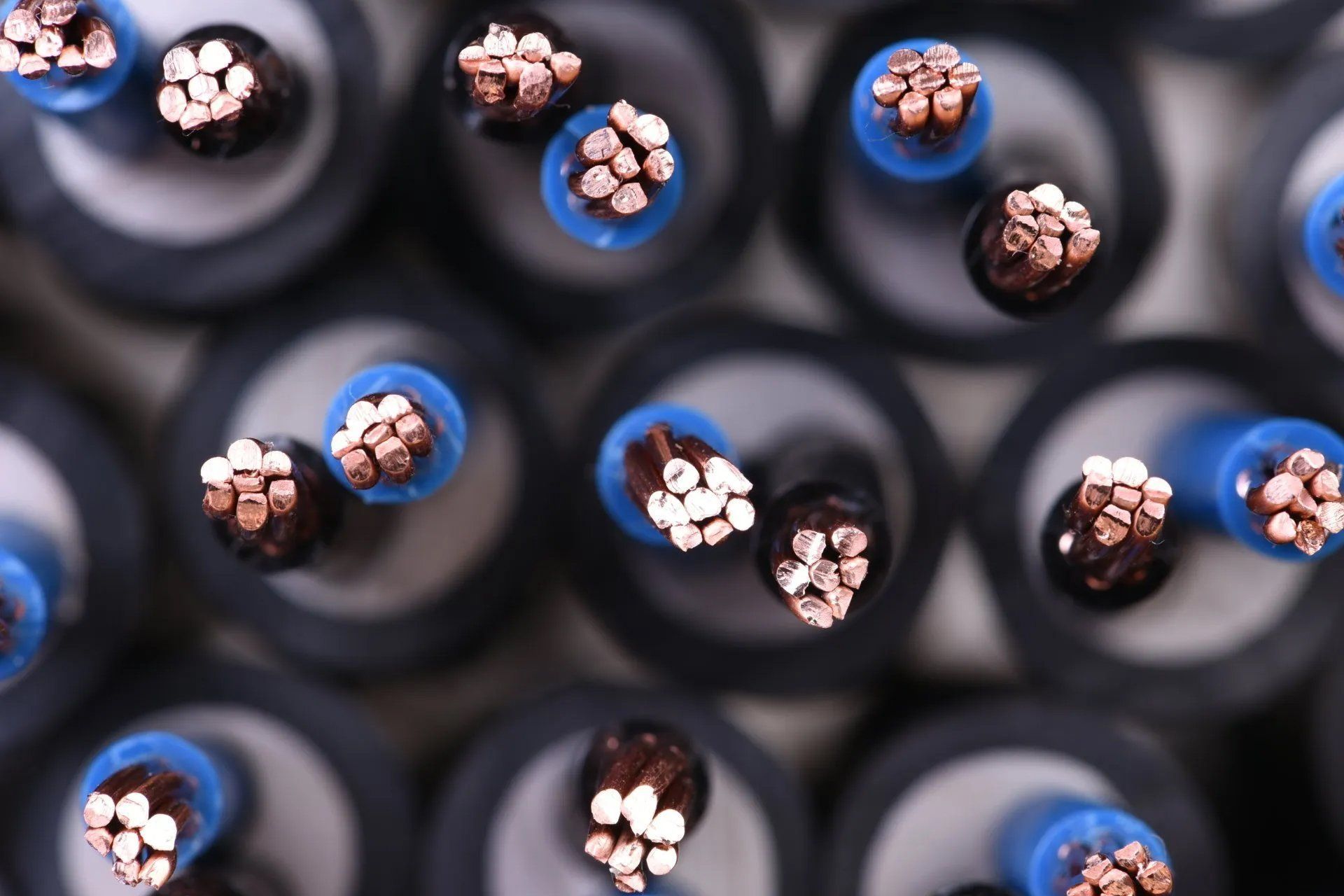Close-up of bundled electrical cables with blue and black insulation, showing exposed copper ends