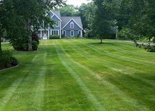 Lawn Maintenance