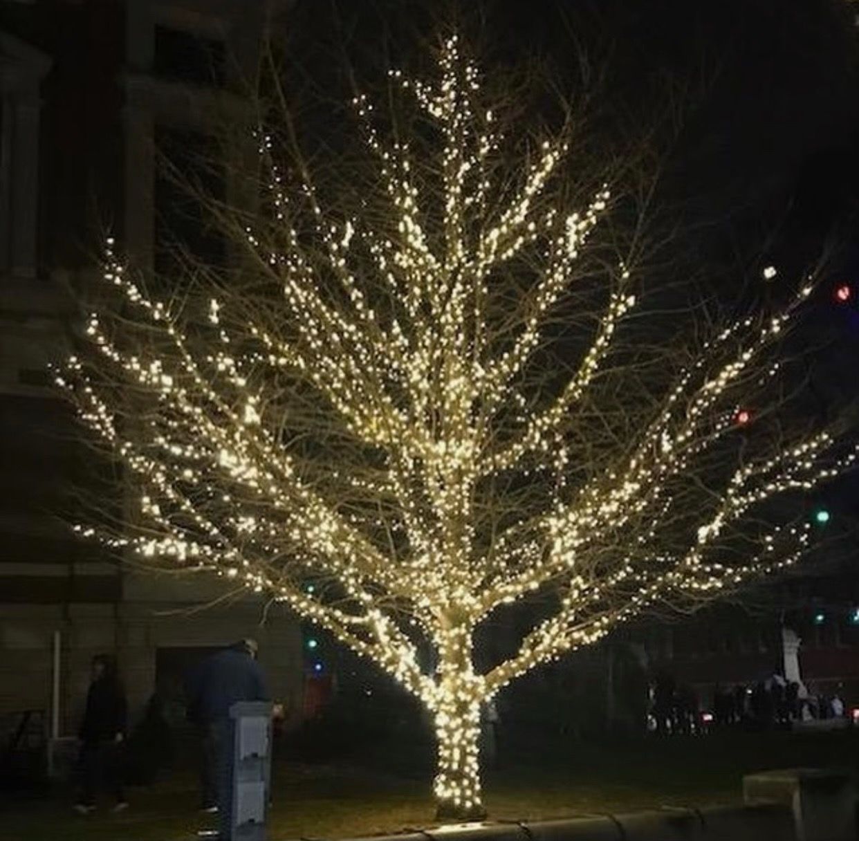 A tree with lots of lights on it at night