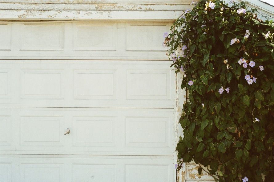 White garage door with climbing plant and light purple flowers.