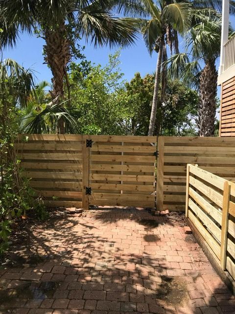 A wooden fence with a gate is surrounded by palm trees.