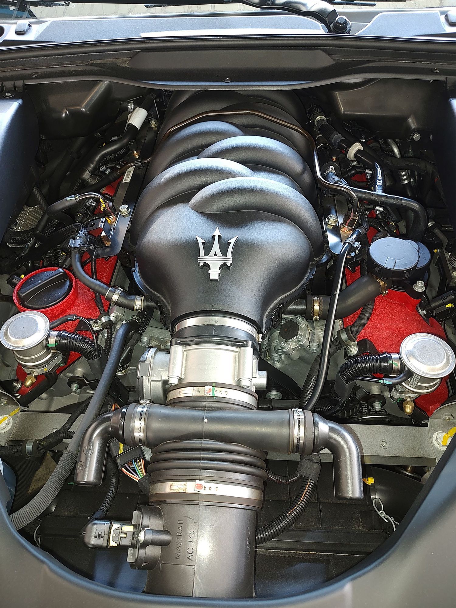 Maserati engine with a black intake manifold and red valve covers in a car engine bay.