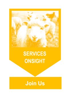 A yellow sign with a picture of sheep and the words services onsight join us